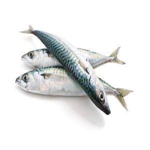 three mackerel