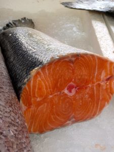 salmon